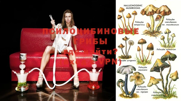 скорость Балахна